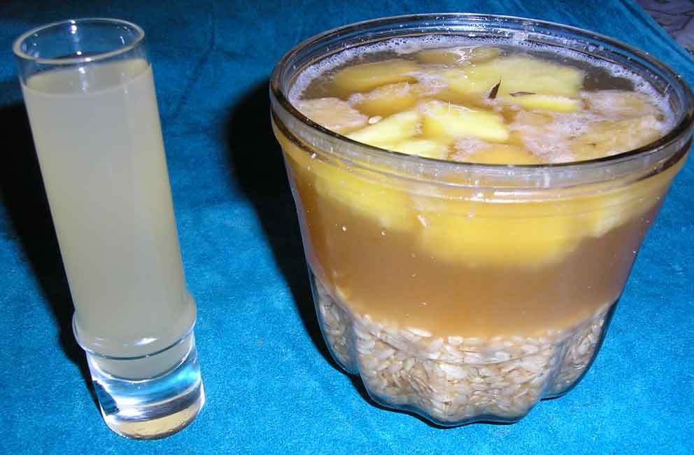 FermentoArrozPinia