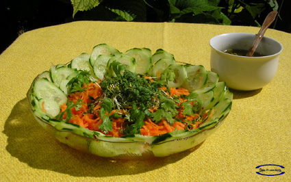 EnsaladaZanahoriaPepinoKresse02