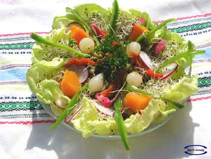 EnsaladaLechugaEncurtidos02