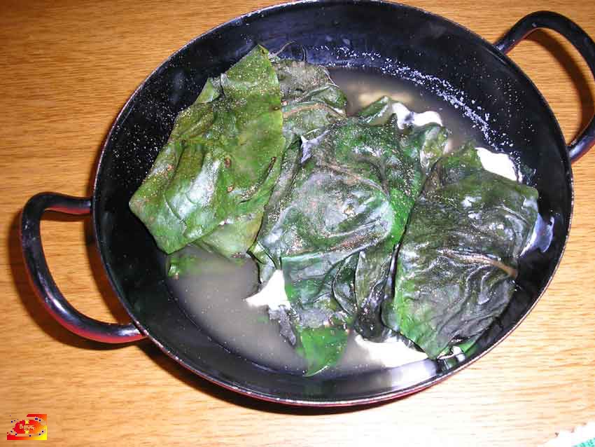 RollosAcelga-alVapor02