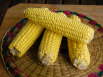 Elotes