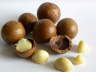 Macadamia